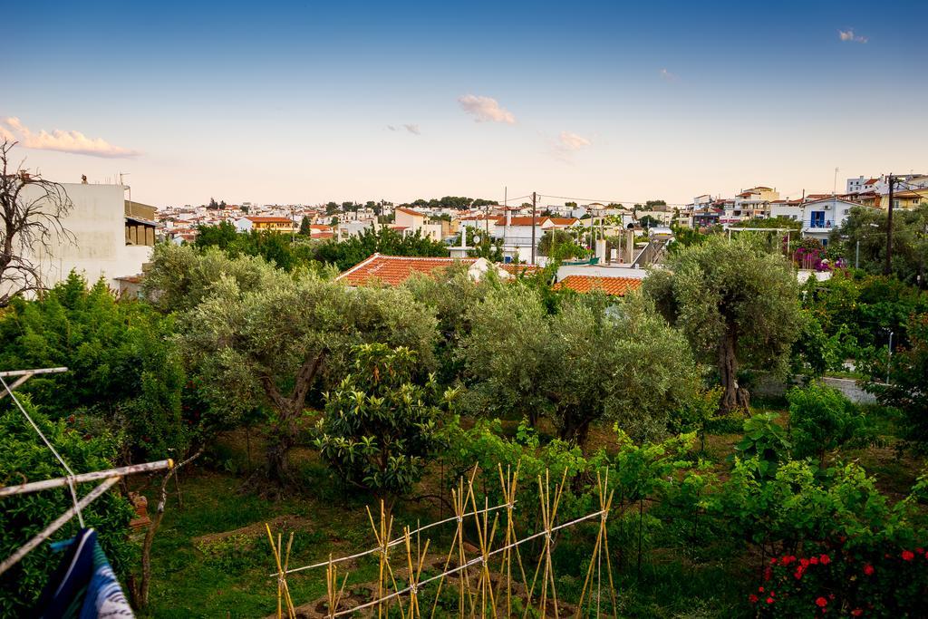 Act Art Skiathos Exterior foto
